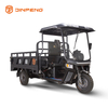 Triciclo de carga elétrica C-HA180QP