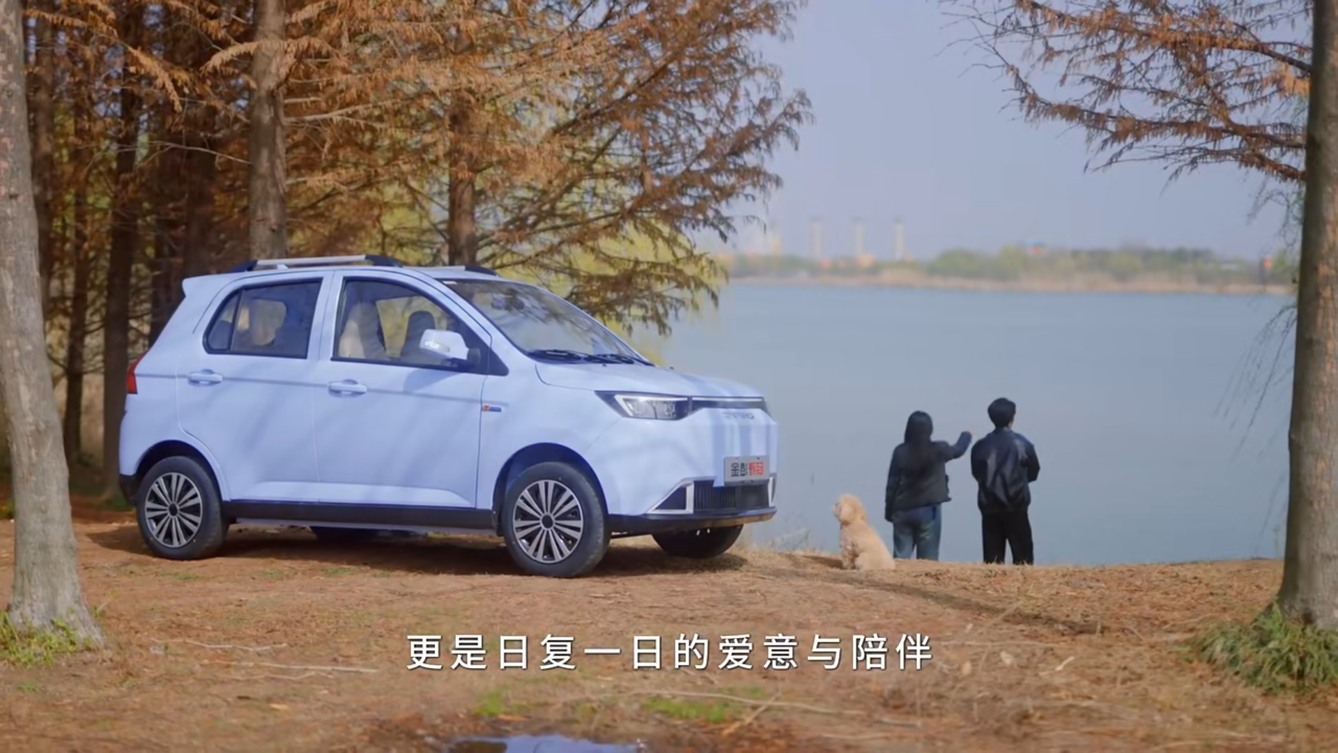 Carro elétrico de baixa velocidade