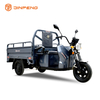 Triciclo de carga elétrica C-ZJ150